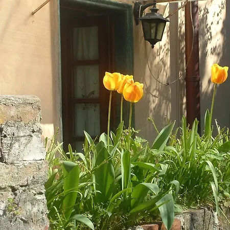 Apartment Bovone Levanto