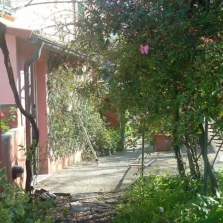 Bovone