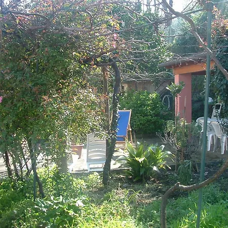 Bovone